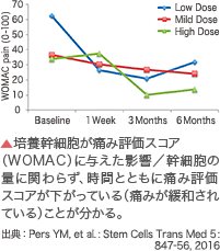 培養幹細胞が痛み評価スコア（WOMAC）に与えた影響／幹細胞の量に関わらず、時間とともに痛み評価スコアが下がっている（痛みが緩和されている）ことが分かる。 出典：Pers YM, et al. : Stem Cells Trans Med 5: 847-56, 2016