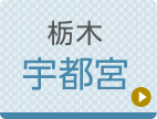 宇都宮ひざ関節症クリニック公式ホームページへ